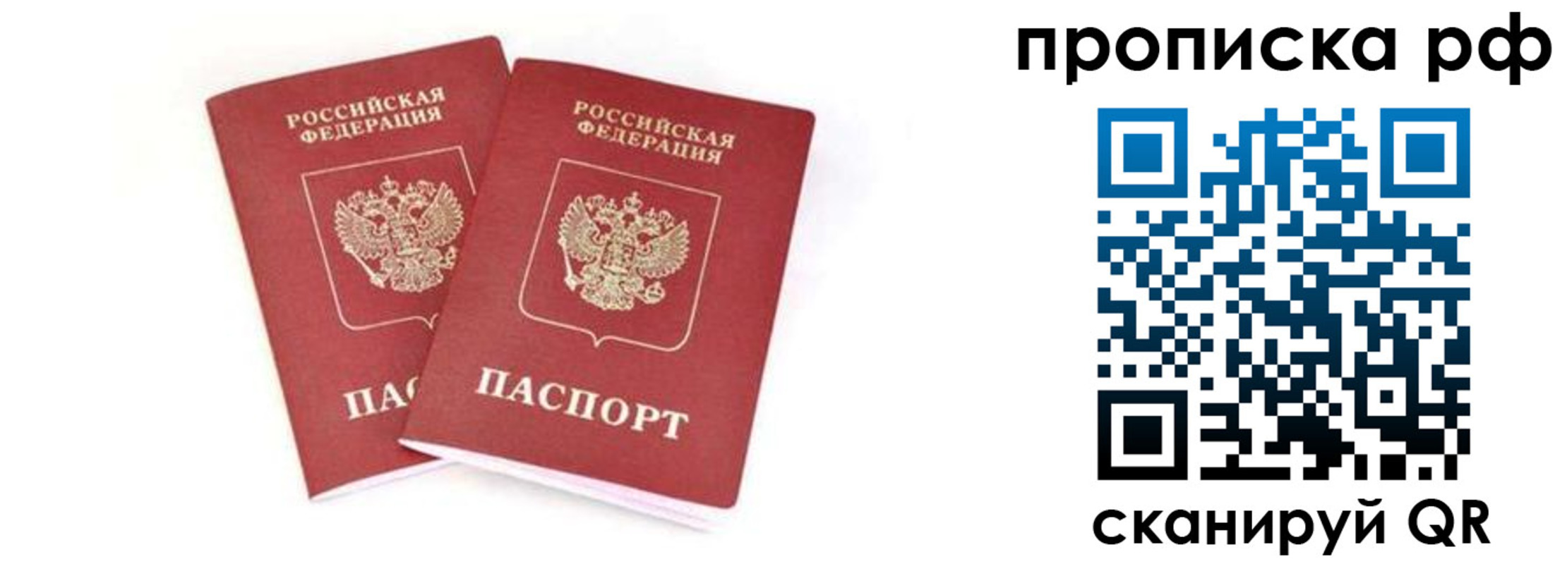прописка поиск в Карелии